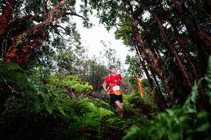 BIB: 
                            <button type="button" onclick="openModal(26203362)" class="btn btn-primary btn-sm float-right btn-popup" data-toggle="modal" data-target=".modal-high-quality">
                        <i class="fas fa-shopping-cart"></i> Add to Cart
                    </button>
                                            <button type="button" onclick="isThisMe(26203362, true)" class="btn btn-success btn-sm float-right btn-popup btn-isme hidden" data-toggle="tooltip" data-placement="bottom" title="นี่คือรูปของคุณใช่ไหม คลิกที่นี่เพื่อเอาเข้าอัลบั้ม">
                        <i class="fas fa-plus"></i> Add to album
                    </button>
                    <button type="button" onclick="isThisMe(26203362, false)" class="btn btn-warning btn-sm float-right btn-popup btn-isnotme hidden">
                        <i class="fas fa-ban"></i> Remove from album
                    </button>